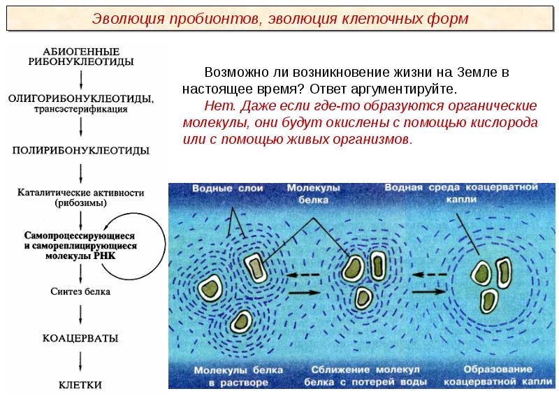 Развитие представлений о происхождении жизни презентация