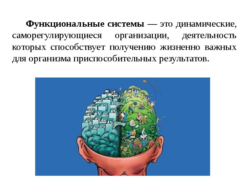 Восемь функциональных мастеров автор