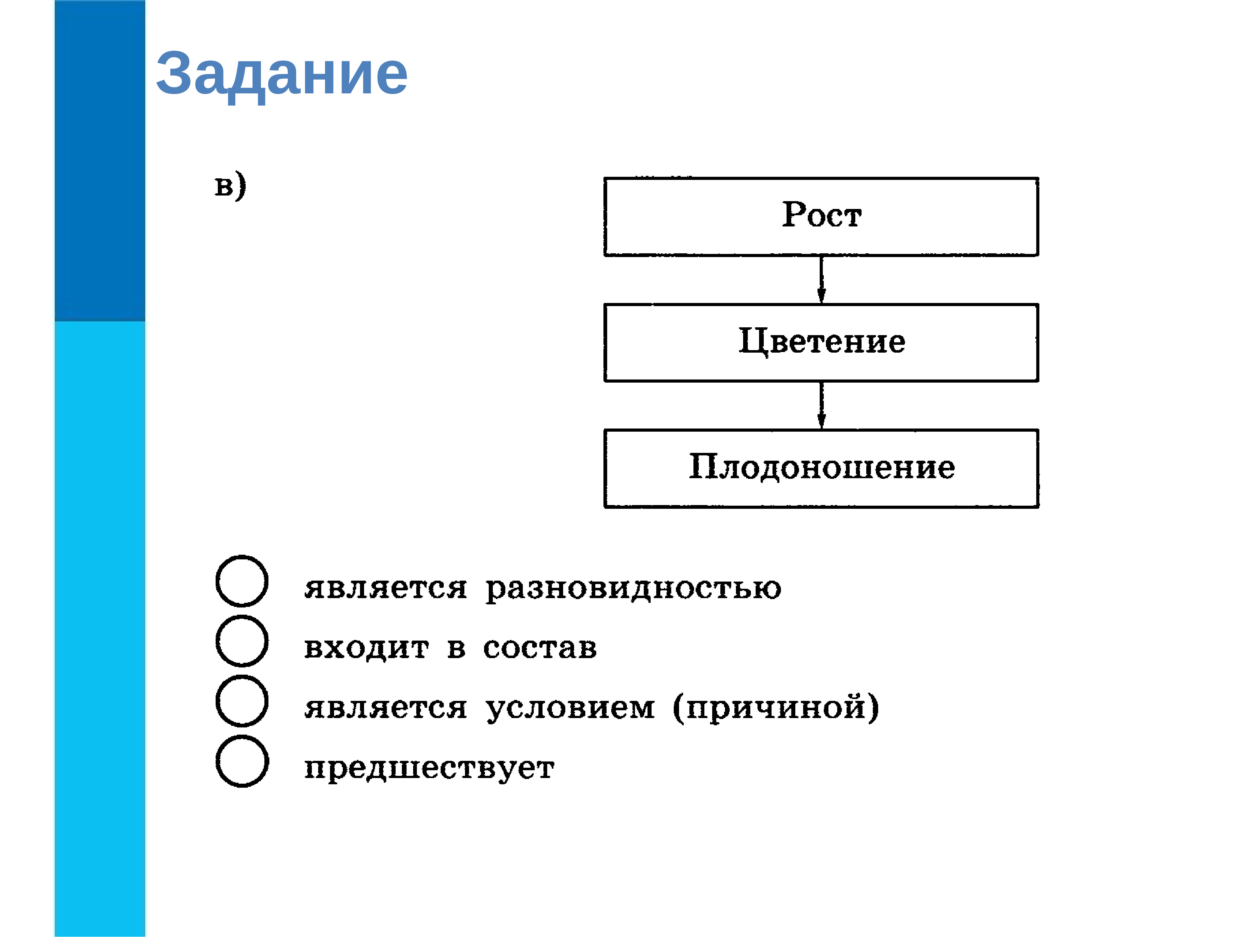 Презентация на тему отношения объектов и их множеств