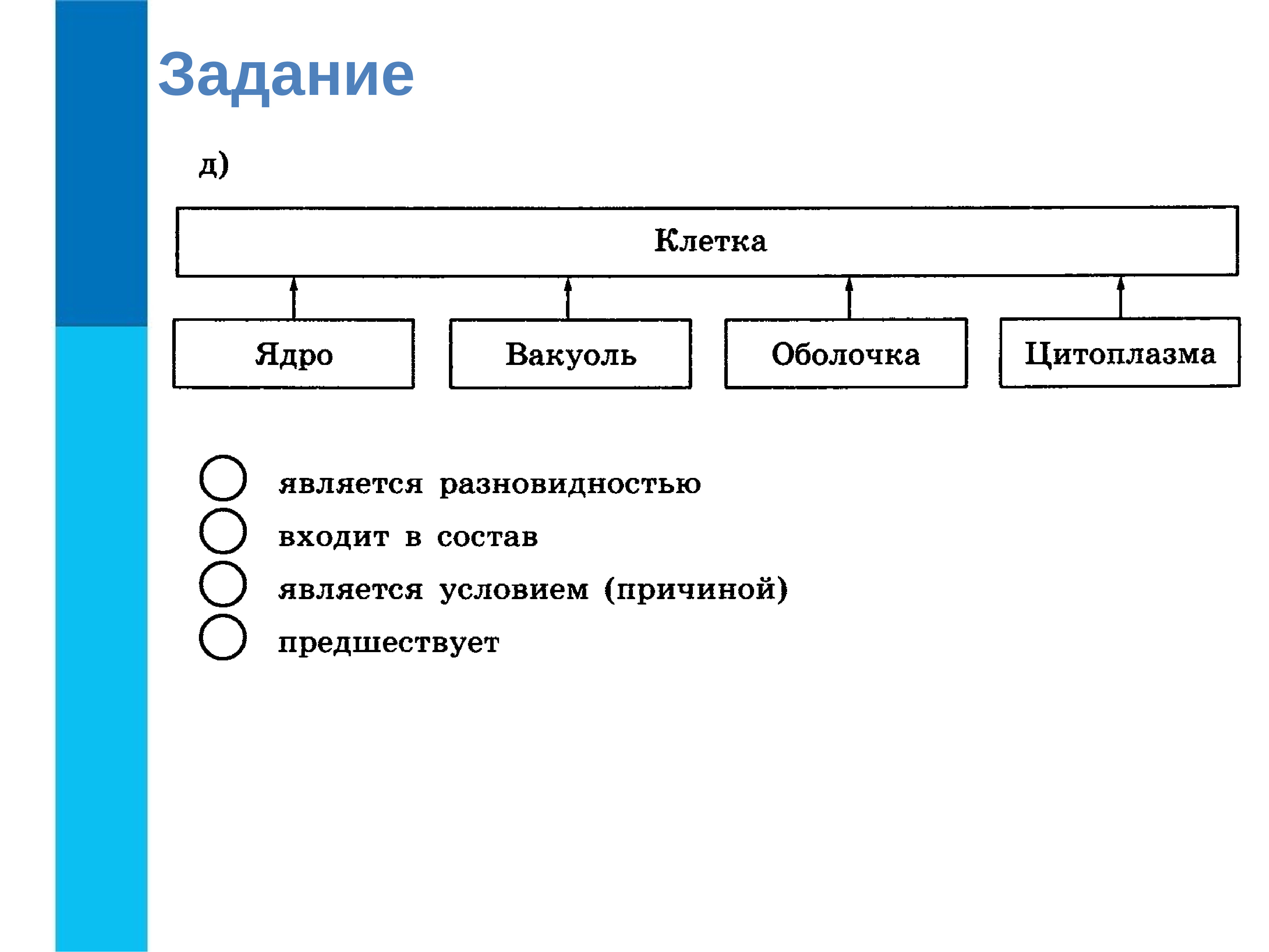 Проект 6 класс по информатике на тему отношения объектов и их множеств