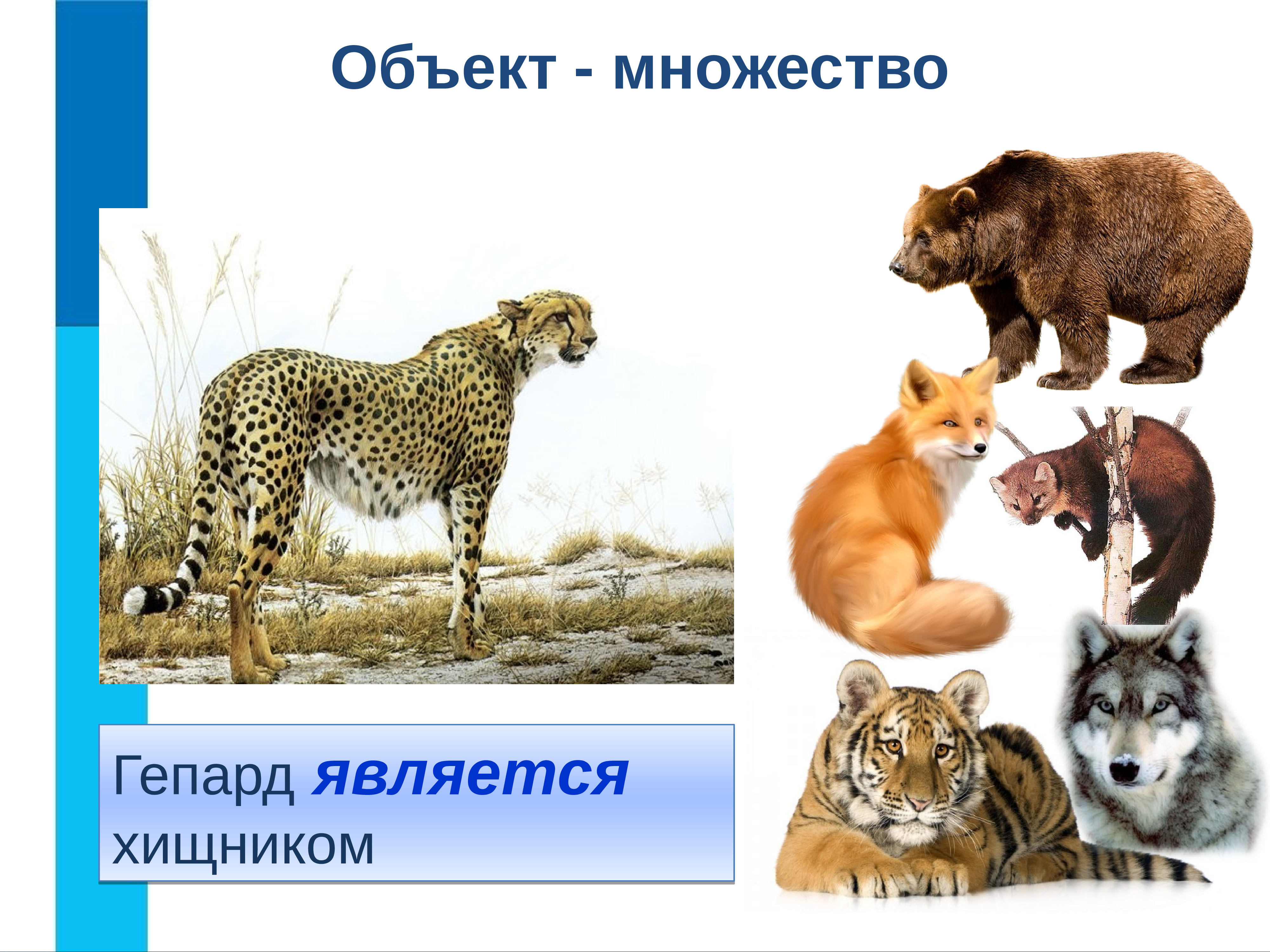 Множество объектов. Отношение объектов и их множеств. Объекты окружающего мира множество.