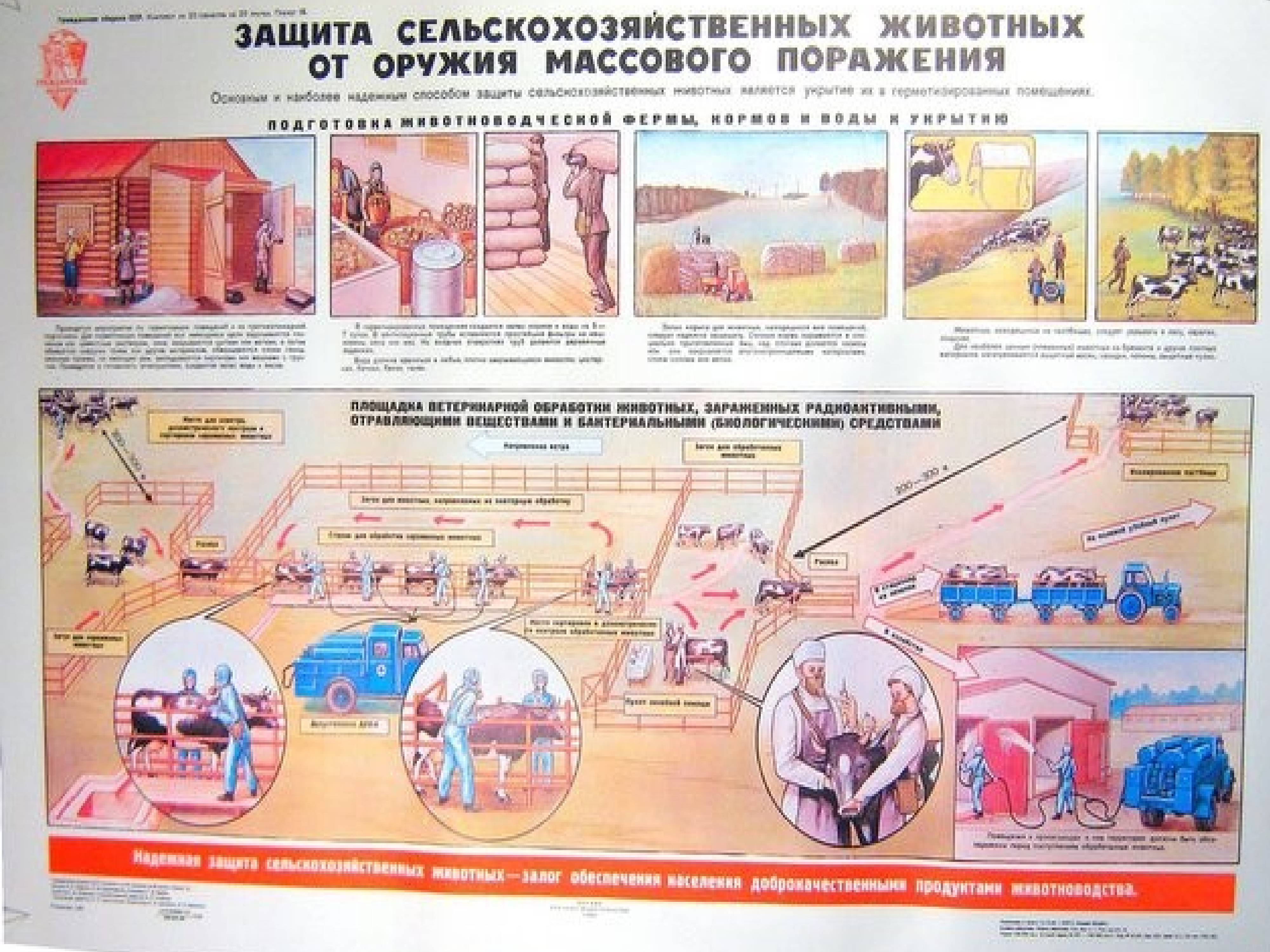 Действия при массовом поражении. Первая помощь при массовых поражениях. Защита сельскохозяйственных животных от оружия массового поражения. Оказание первой медицинской помощи при массовых поражениях. Оказание помощи пострадавшим от оружия массового поражения.