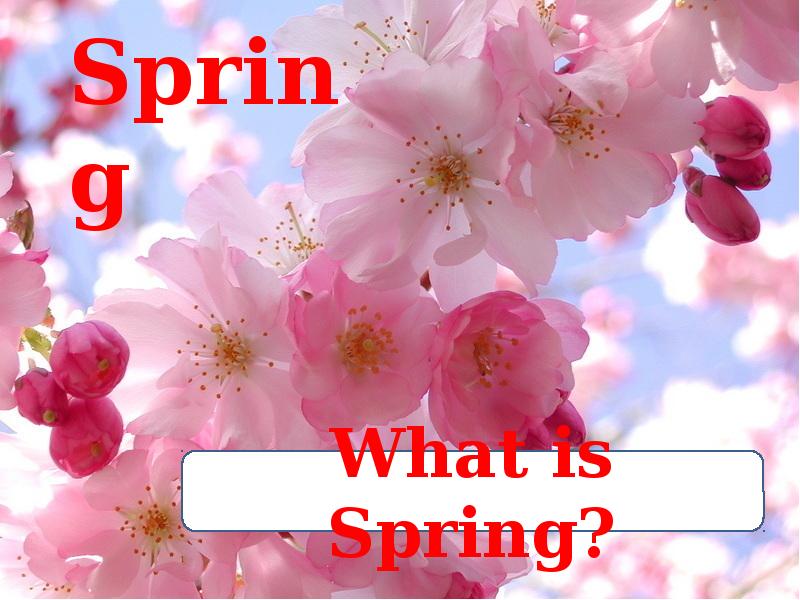 Spring