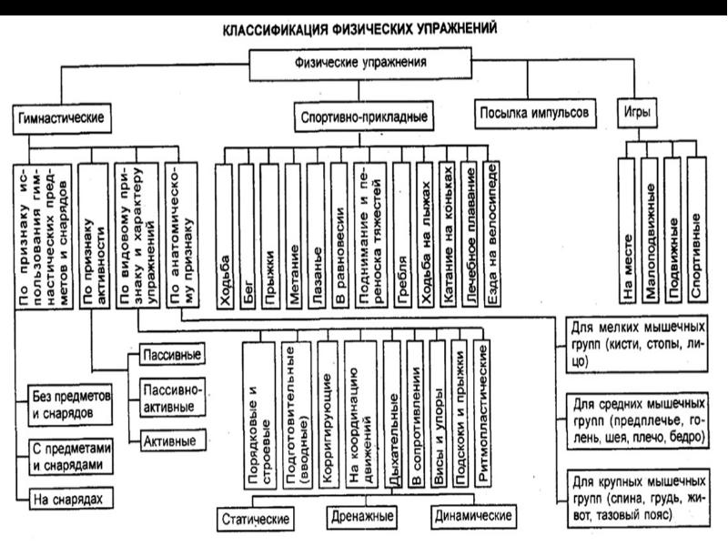 Презентация классификация физических упражнений