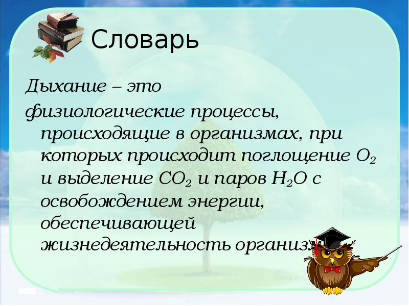 Физиологические процессы это. Физиологические процессы. Терминология дыхания. Физиологический. Терминология по дыхательной системе.