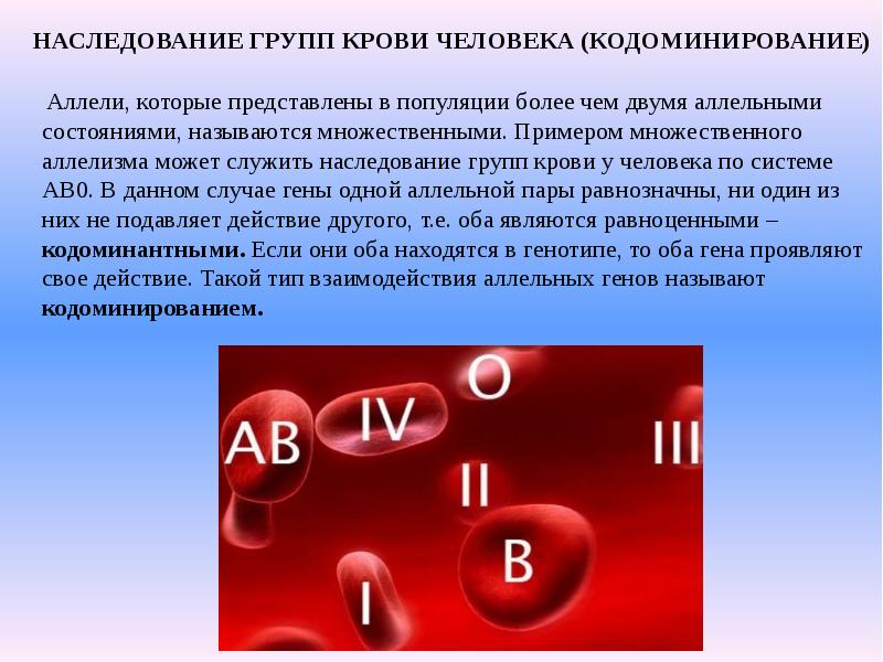 Золотая группа крови это. Группы крови человека: система резус-фактора.. Наследование системы крови резус-фактор. Наследование групп крови у человека кодоминирование. Группы крови человека и резус фактор.