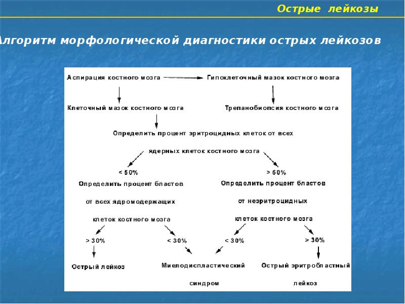 Патогенез лейкозов схема