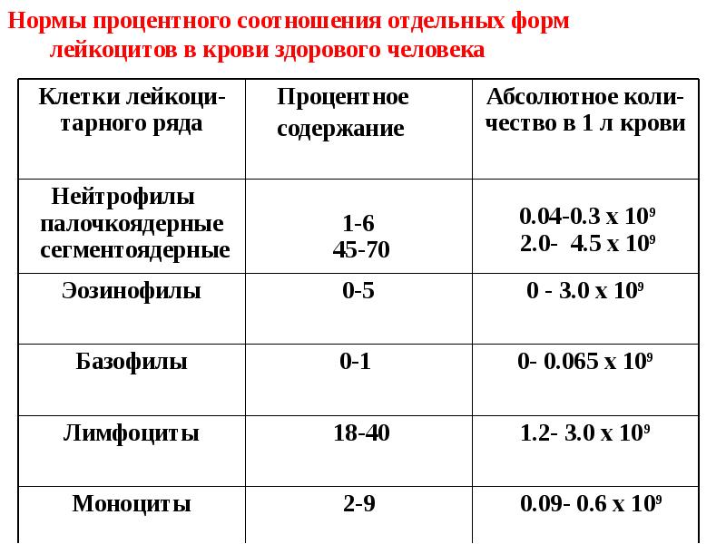 Лейкоциты о чем говорят. Показатели лейкоцитов в крови норма. Лейкоциты норма у женщин по возрасту 50-60 лет таблица. Лейкоциты в крови норма у женщин 40 лет таблица. Лейкоциты норма у женщин по возрасту.