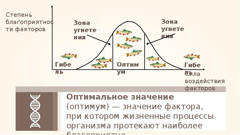 Оптимальное значение