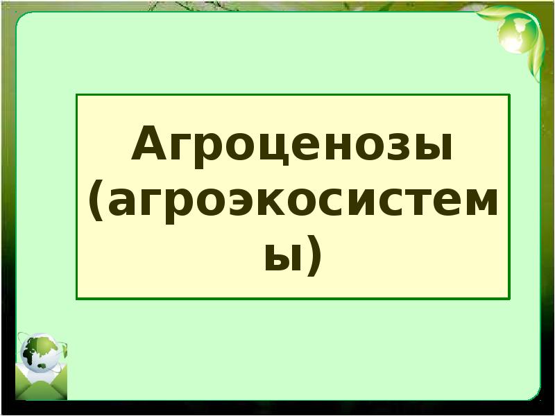 Презентация агроценозы и агроэкосистемы 11 класс