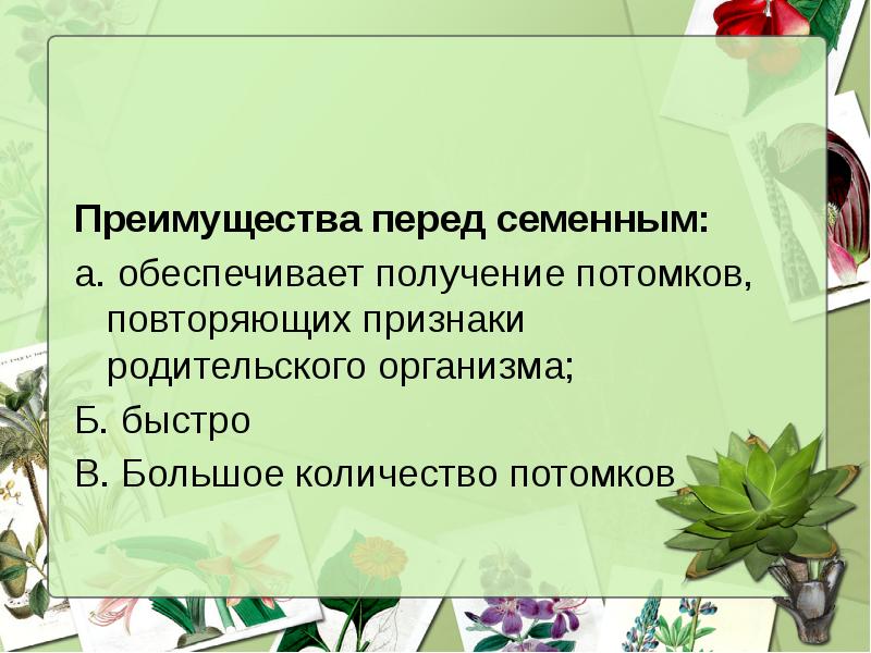 Каковы преимущества семенного размножения. Преимущества семенного размножения. родительских организмов дочерним.. преимущества семенных перед папоротникообозными.