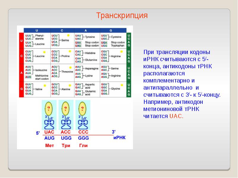Осетинский днк проект последние результаты