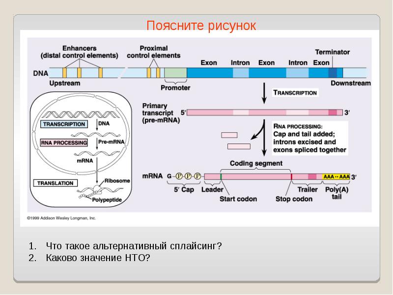 Чеченский днк проект последние результаты