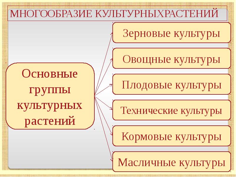 Презентация на тему культурные растения 6 класс