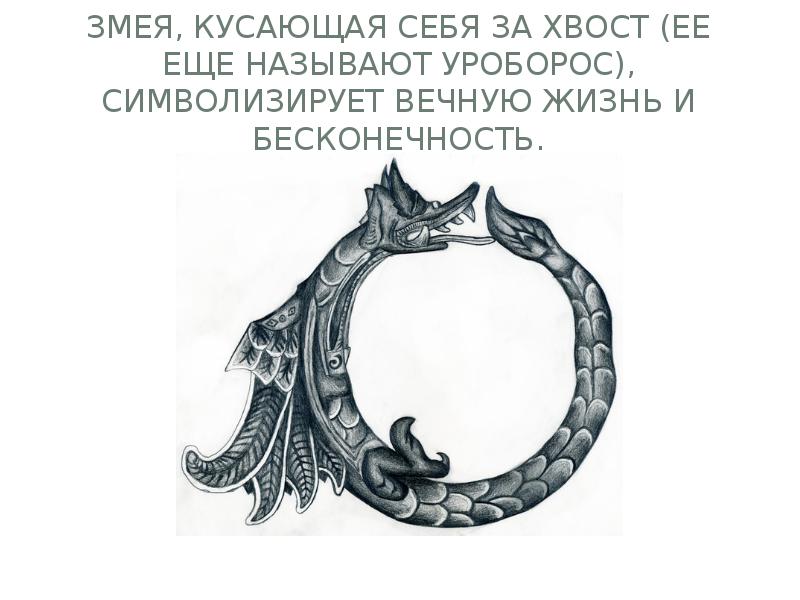 Змея, кусающая себя за хвост (ее еще называют уроборос), символизирует вечную