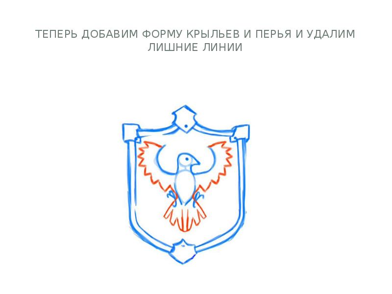 Теперь добавим форму крыльев и перья и удалим лишние линии