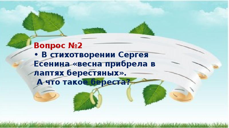 Береза презентация 2 класс