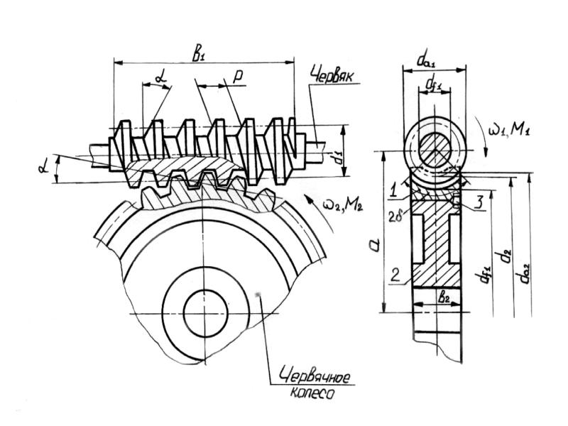 Рисунок червячной передачи