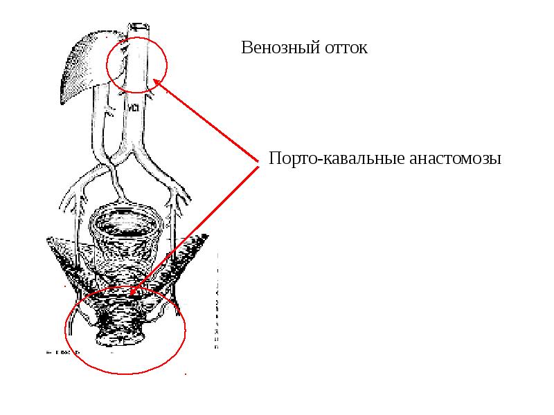 Отток от прямой кишки