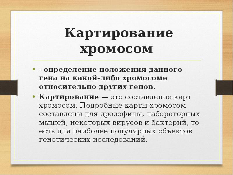 Презентация картирование хромосом