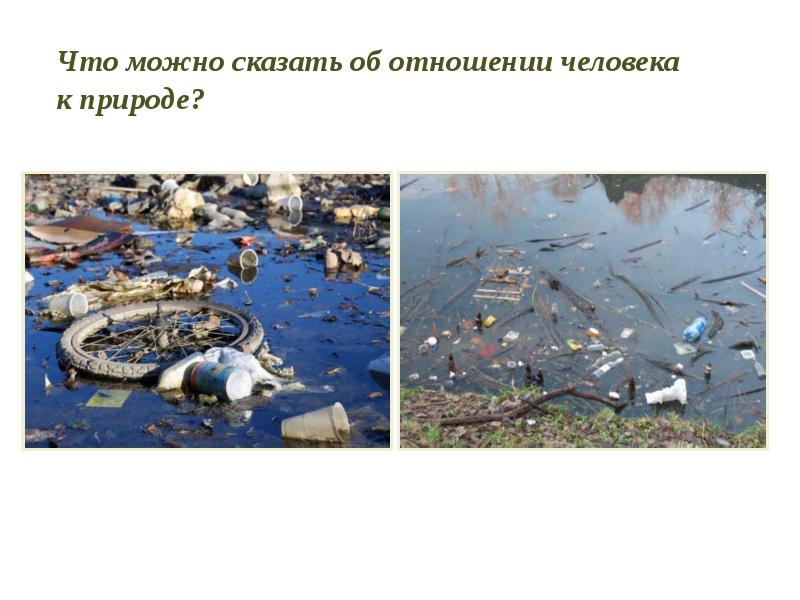 Урок бережное отношение к природе. Бережное отношение человека к природе. Бережно отношение к природе. Бережное отношение к природе презентация. Расточительное отношение к природе.