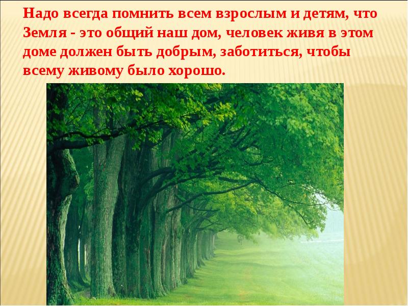 Проект по теме бережное отношение к природе 5 класс