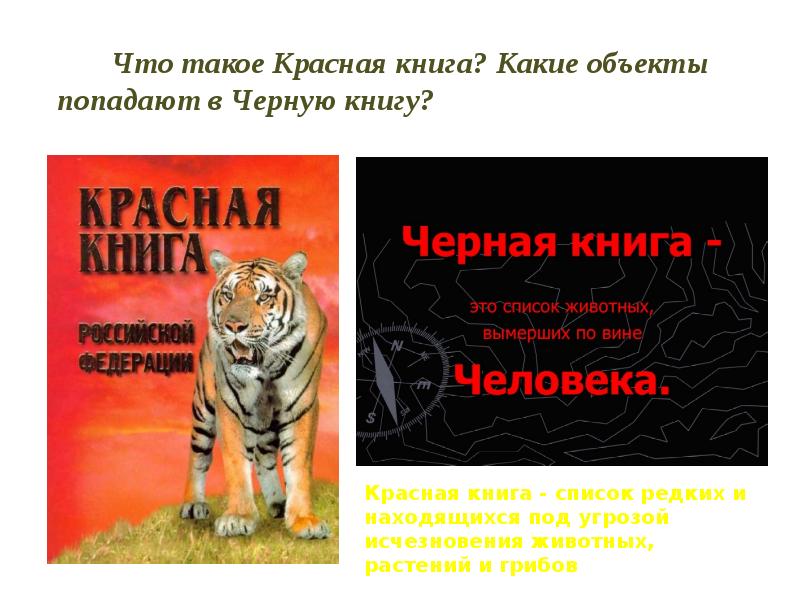 Однкнр 5 класс бережное отношение к природе презентация 5 класс однкнр