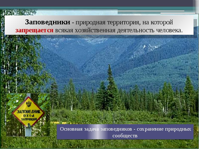 Презентация о заповедниках 3 класс школа 21 века