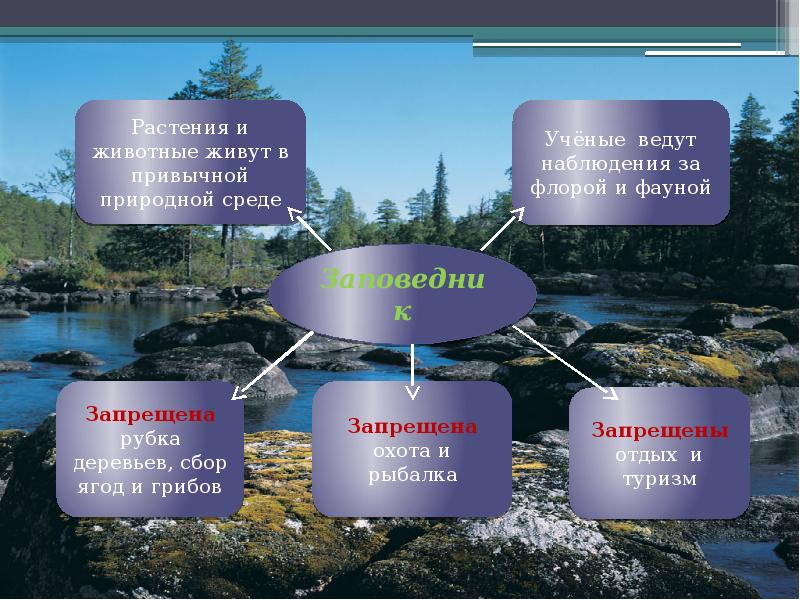 Презентация особо охраняемые территории красноярского края презентация