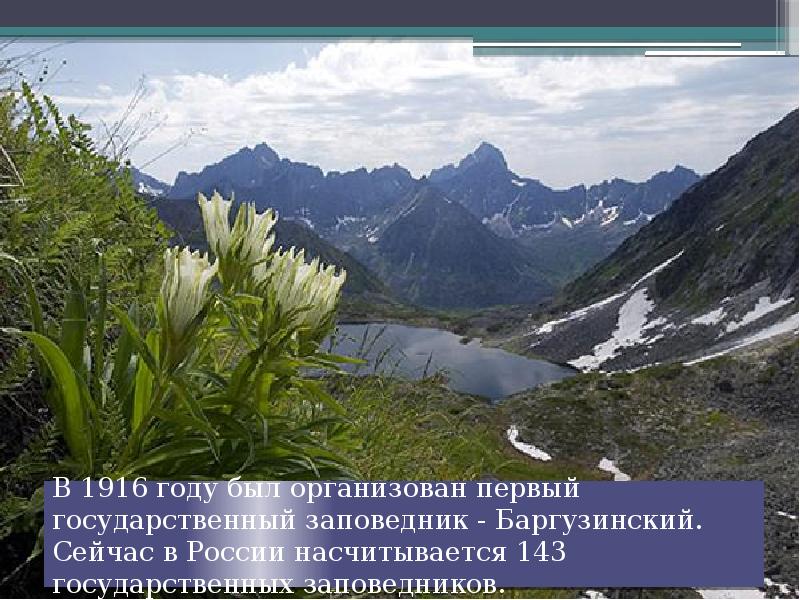 В 1916 году был организован первый государственный заповедник - Баргузинский. Сейчас