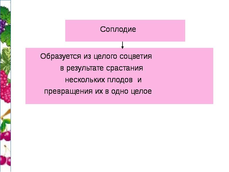 Какого биологическое значение соцветий. Биологическое значение плода растений. Как цветок превращается в плод. Плод образованный в результате срастания цветков и стеблей соцветия.