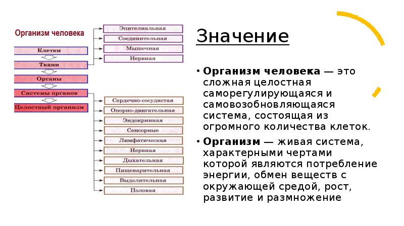 Система характерна