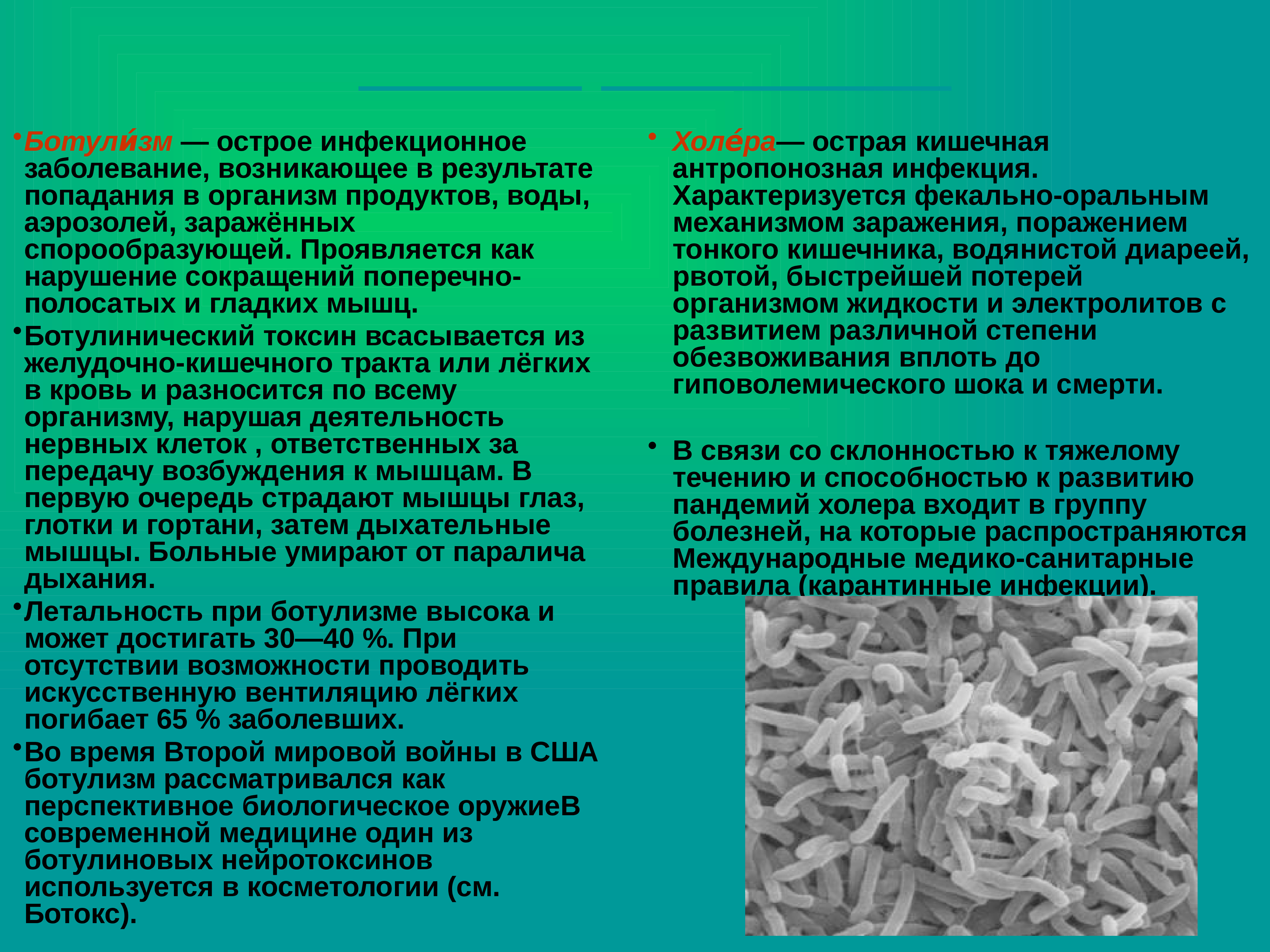 В какой фасоли нашли ботулизм. Кишечные инфекции ботулизм. Ботулизм презентация инфекционные болезни. Ботулизм это инфекционное заболевание. Пищевые отравления ботулизм.