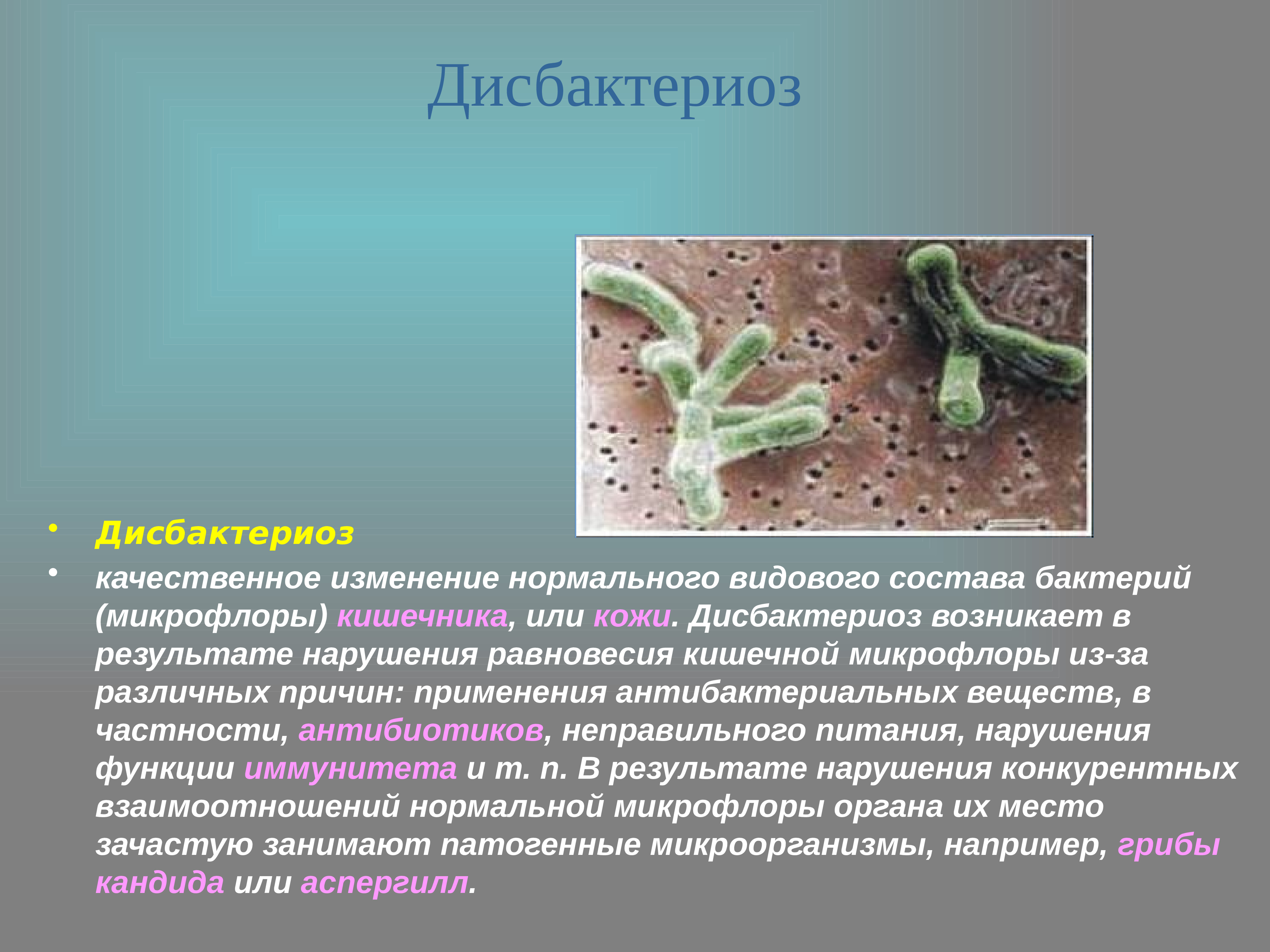 Дисбактериоз кишечника микроорганизмы