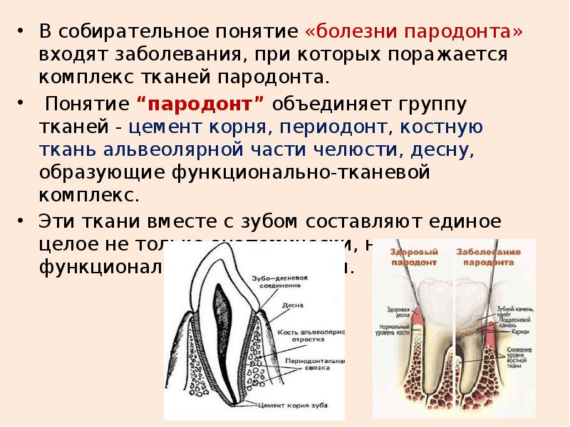 Патология пародонта. Гемидесмосомы пародонта. Заболевания пародонта презентация. Заболевания тканей пародонта презентация.