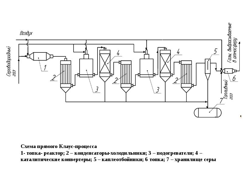 Схема выделения аммиака с мочой