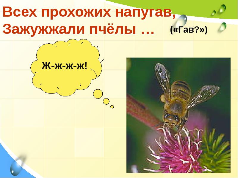 М бородицкая разговор с пчелой. Разговор с пчелой презентация. Литературное чтение разговор с пчелой.