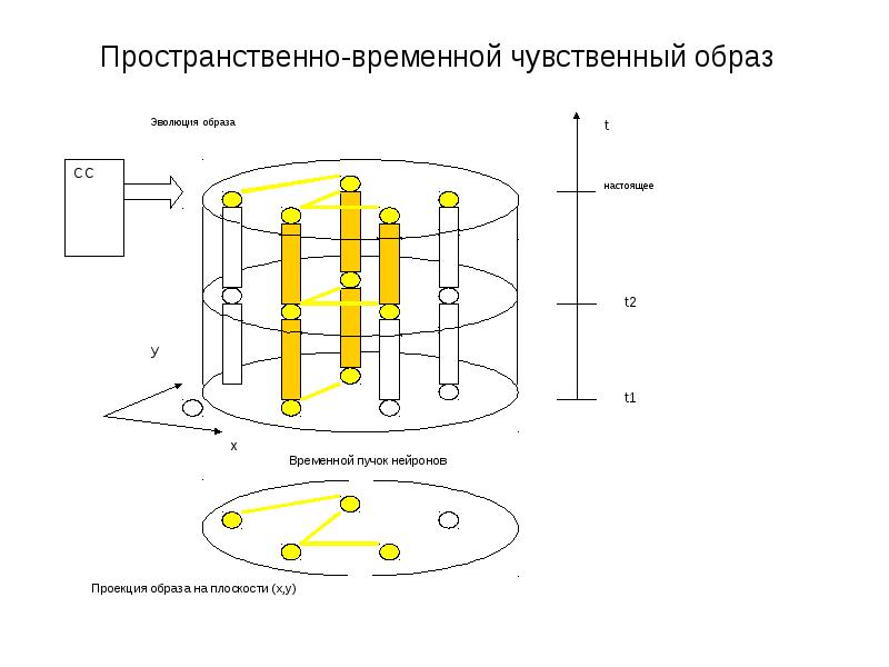 Пространственно временные образы. Пространственный модулятор света. Пространственно-временной модулятор света. Временной модулятор это. Пространственно временной накопитель.