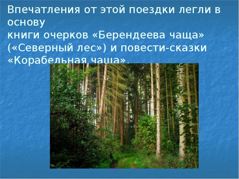 Пришвин корабельная. Корабельная чаща пришвин. Пришвин берендеева чаща книга. Пришвин Корабельная чаща книга.