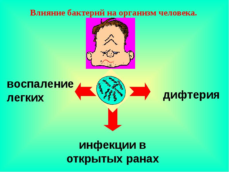 Виды микроорганизмов влияющих на организм человека схема