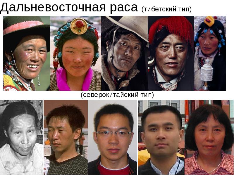 Фото представителей монголоидной расы