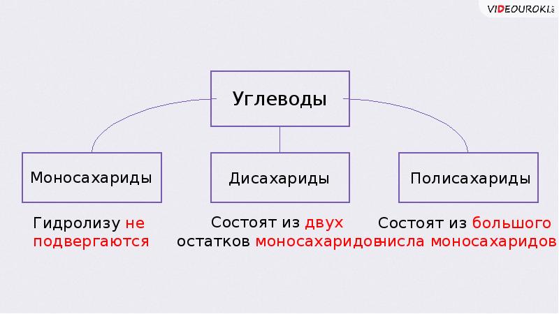 Презентация на тему моносахариды