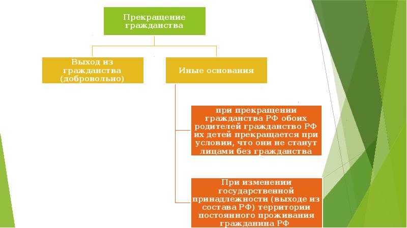 Гражданство презентация 10 класс профильный уровень