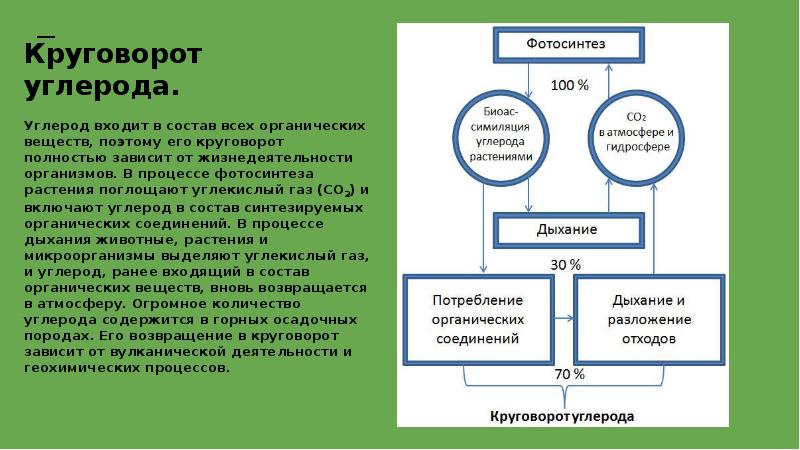 Презентация круговорот веществ в биосфере 9 класс биология