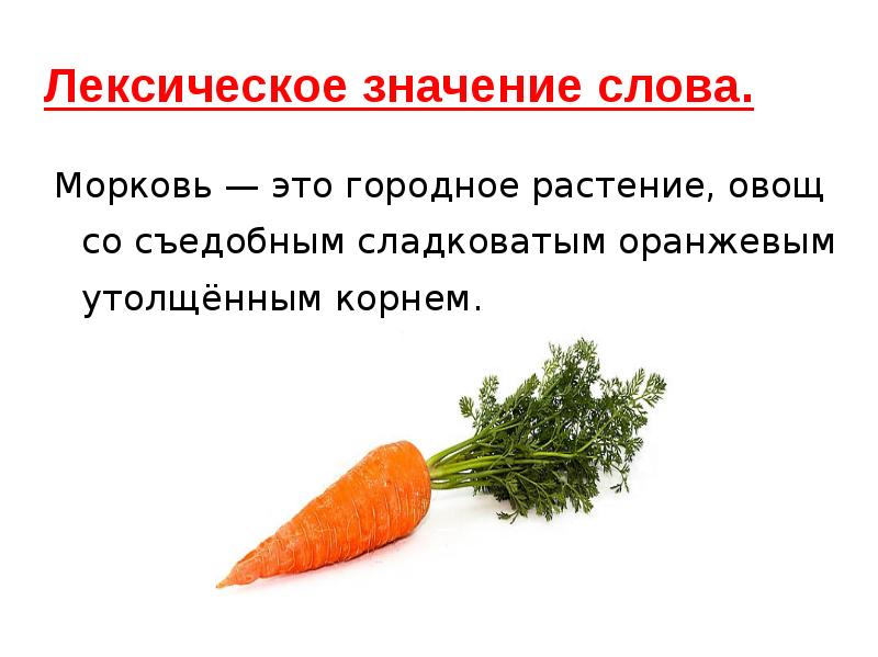 Разобрать слово морковь. Лексическое значение слова морковь. Лексическоезначенин слова морковь. Презентация на тему морковь. Сообщение о морковке.