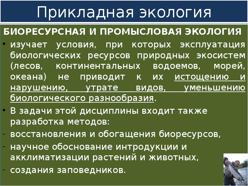 Прикладная экология разрабатывает