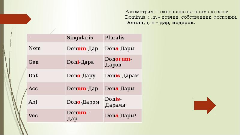 Прилагательные 2 склонения в латинском языке