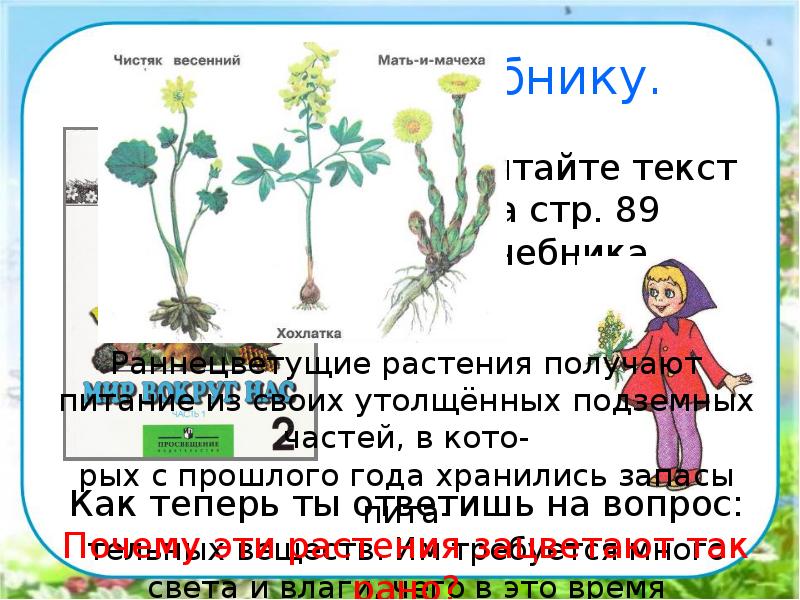 Мудрая черепаха интересуется знаешь ли ты раннецветущие растения соедини линиями рисунки и таблички