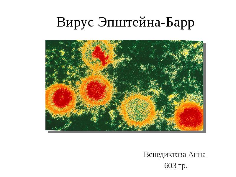 Вирус эпштейна барр презентация