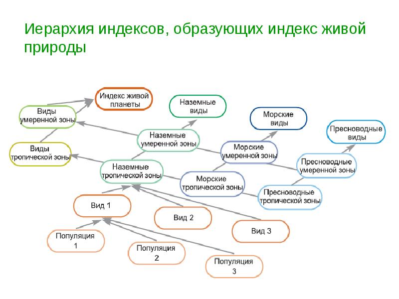 Иерархия индексов, образующих индекс живой природы